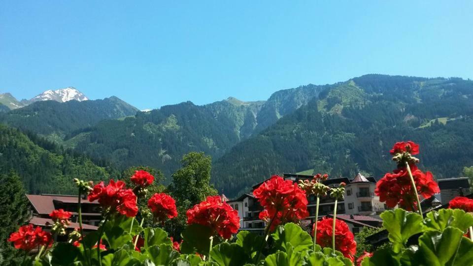 Landhaus Alpenrose Mayrhofen Exterior foto